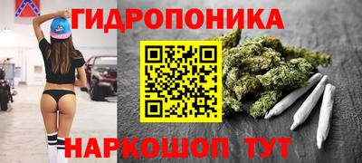 индика Мариинск