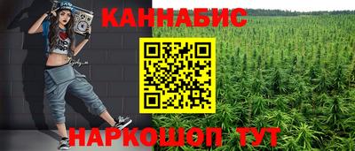 индика Мариинск